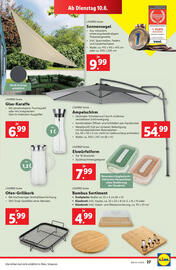 Lidl Flugblatt woche 23 Seite 31