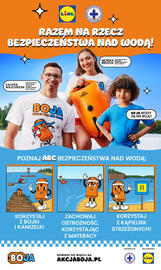 Lidl gazetka Strona 11