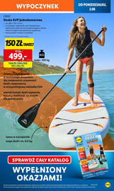 Lidl gazetka Strona 13