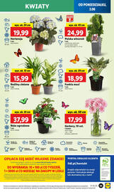 Lidl gazetka Strona 61
