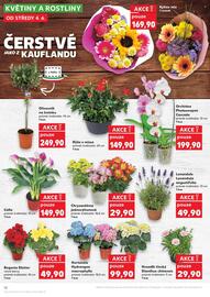 Kaufland leták týden 23 Strana 10