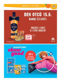 Globus leták týden 23 Strana 31