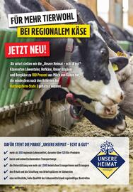 Edeka Stenger Prospekt woche 23 Seite 12