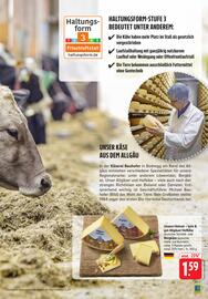 Edeka Stenger Prospekt woche 23 Seite 13