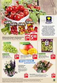 Edeka Stenger Prospekt woche 23 Seite 5