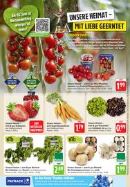 Edeka Stenger Prospekt woche 23 Seite 6