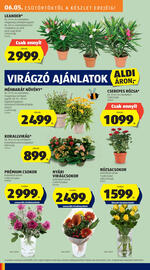 ALDI akciós újság hét 23 Oldal 10
