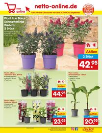 Netto City Prospekt woche 23 Seite 9