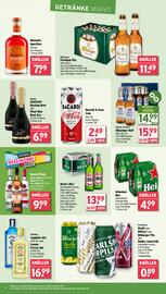 Wasgau Prospekt woche 23 Seite 22