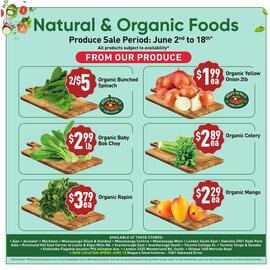 Healthy Planet flyer Page 6