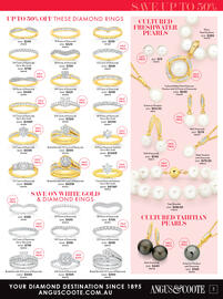 Angus & Coote catalogue Page 3