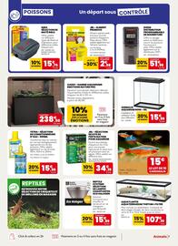 Catalogue Animalis page 7
