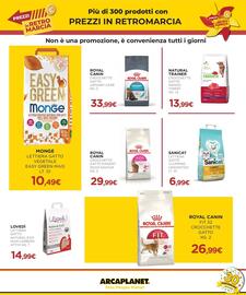 Volantino Arcaplanet Pagina 31