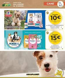 Volantino Arcaplanet Pagina 5