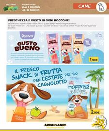 Volantino Arcaplanet Pagina 9