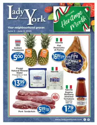 Lady York flyer (valid until 8-06)