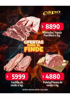 Catálogo Autoservicio Capo (válido hasta 2-06)