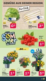 NETTO Prospekt Seite 3