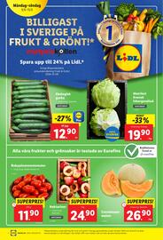 Lidl reklamblad vecka 24 Sida 2