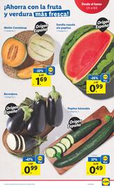 Folleto Lidl | Bazar Página 29