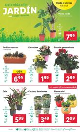 Folleto Lidl | Bazar Página 62