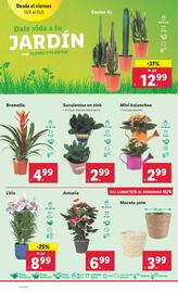 Folleto Lidl | Bazar Página 10
