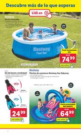 Folleto Lidl | Bazar Página 22