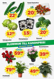 Pekås reklamblad vecka 23 Sida 7
