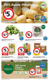 Coles catalogue week 23 Page 17