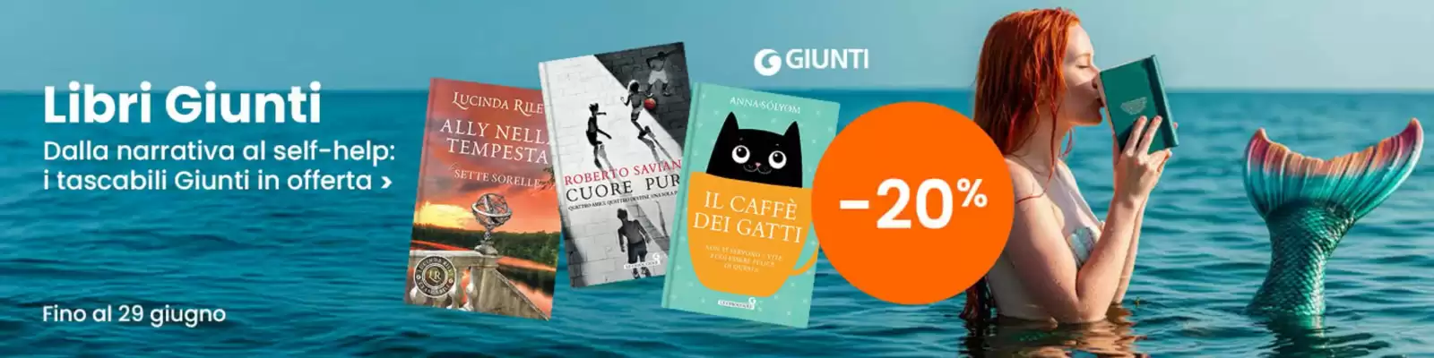Volantino Il Libraccio (valido fino al 29-06)