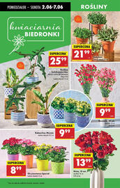 Biedronka gazetka tydzień 23 Strona 19