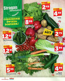 Topaz Express gazetka tydzień 23 Strona 8
