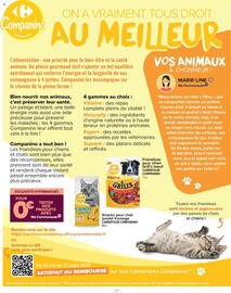 Catalogue Carrefour | Goûtez-moi ça page 17