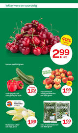 Spar folder Pagina 8