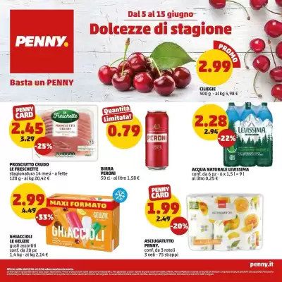 Volantino PENNY