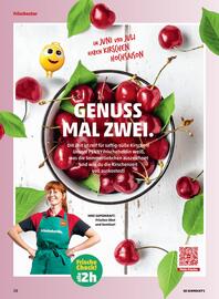 PENNY Flugblatt Seite 26