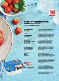 PENNY Flugblatt Seite 43