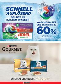 PENNY Flugblatt Seite 62