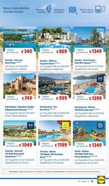 Lidl Flugblatt Seite 13
