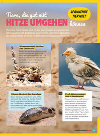 Billa Flugblatt Seite 23
