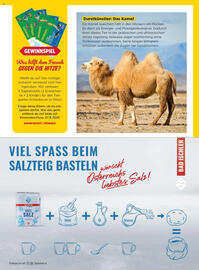 Billa Flugblatt Seite 25