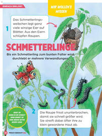 Billa Flugblatt Seite 30