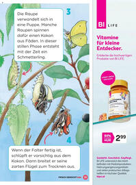 Billa Flugblatt Seite 31