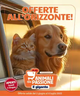 Volantino Il Gigante