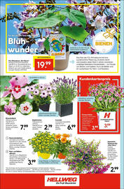 Hellweg Prospekt woche 23 Seite 12