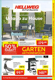 Hellweg Prospekt woche 23 Seite 13
