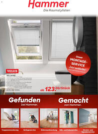 Hammer Prospekt Seite 1