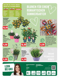 Feneberg Prospekt Seite 13
