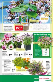 BayWa Prospekt woche 23 Seite 12