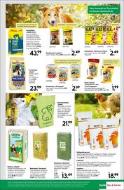 BayWa Prospekt woche 23 Seite 9